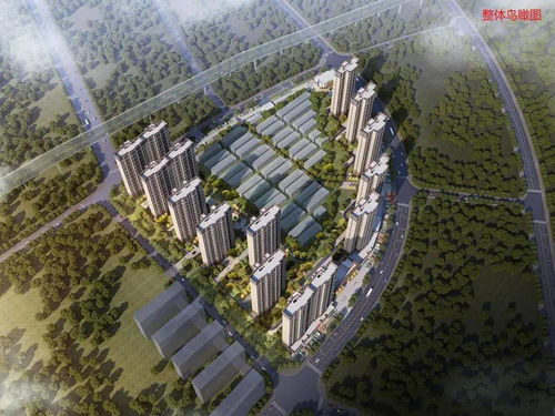 2020年張家界房地產開發投資增幅躍居全省第一，物業管理同步升級
