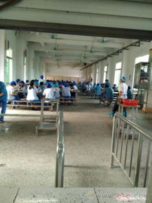 深耕十二載，專業鑄就信賴 德華餐飲引領工廠食堂對外承包新風尚