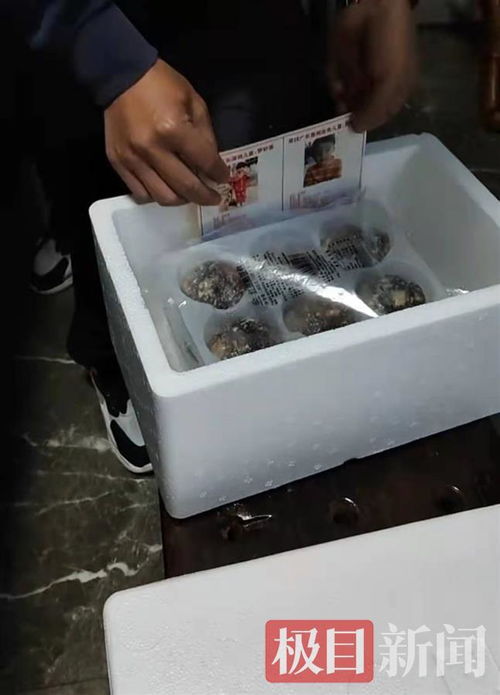 孫海洋跨界餐飲 以包子為媒，將尋親信息送入千家萬戶